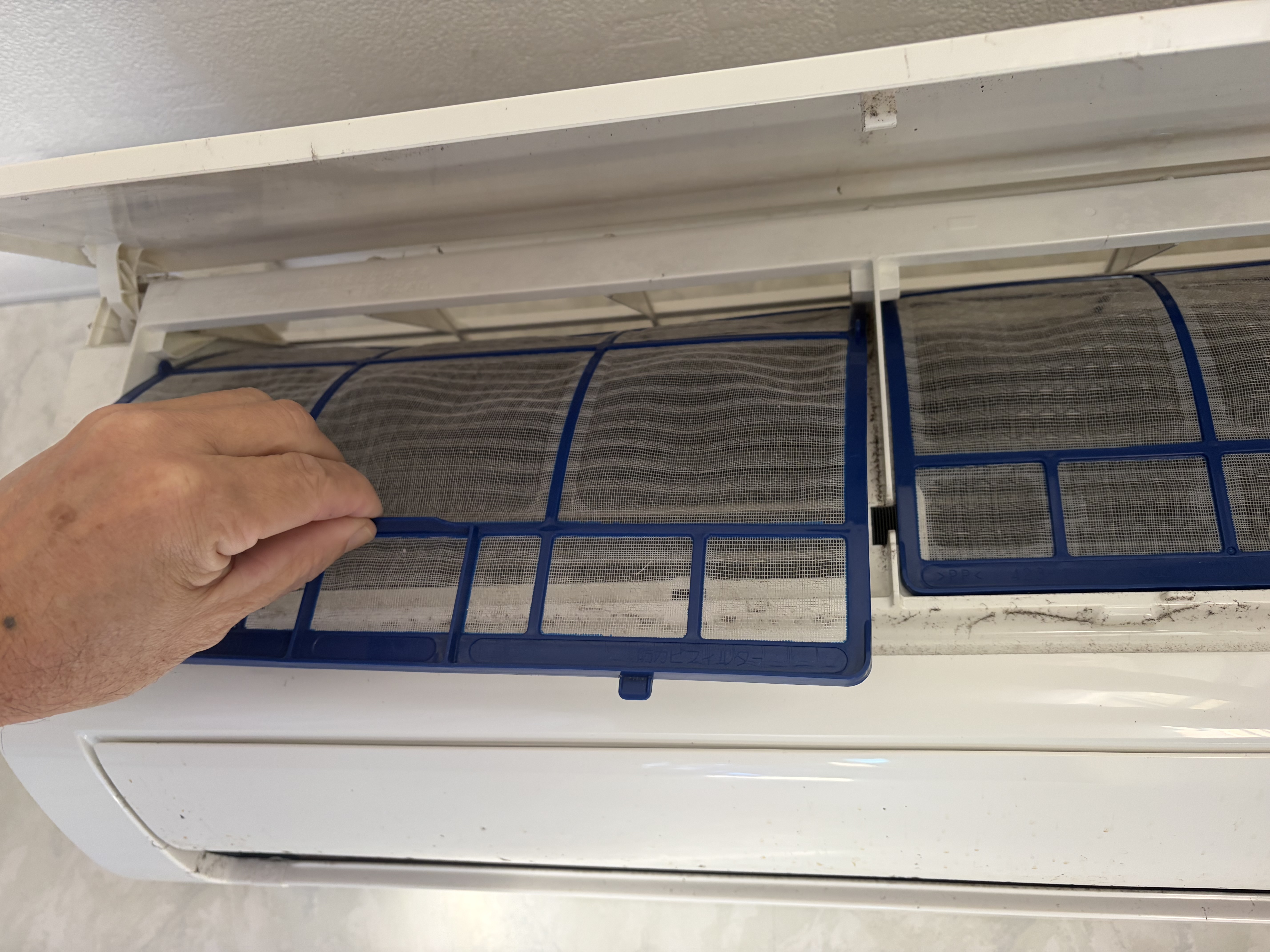 プロの技術による徹底したカビ対策